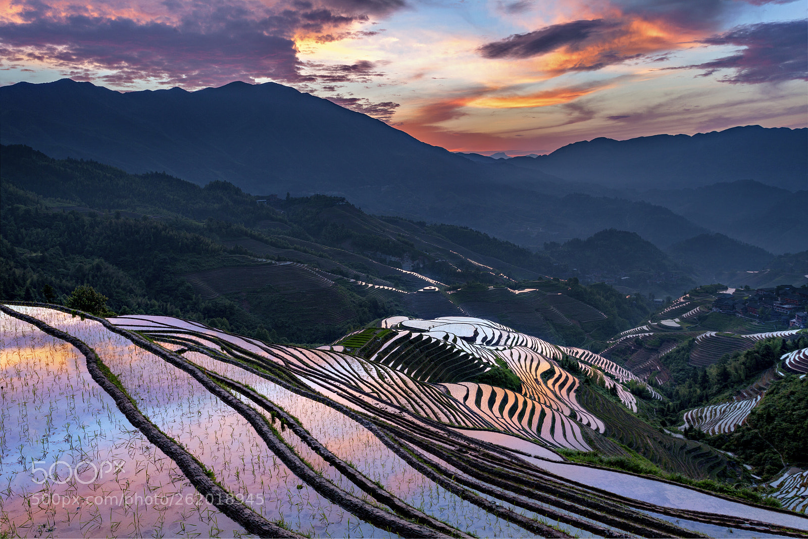 Canon EOS 5D Mark II sample photo. Longji rice terraces at photography