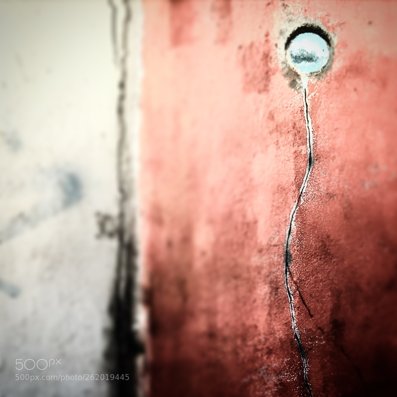 Apple iPhone 6 sample photo. Untitled photography