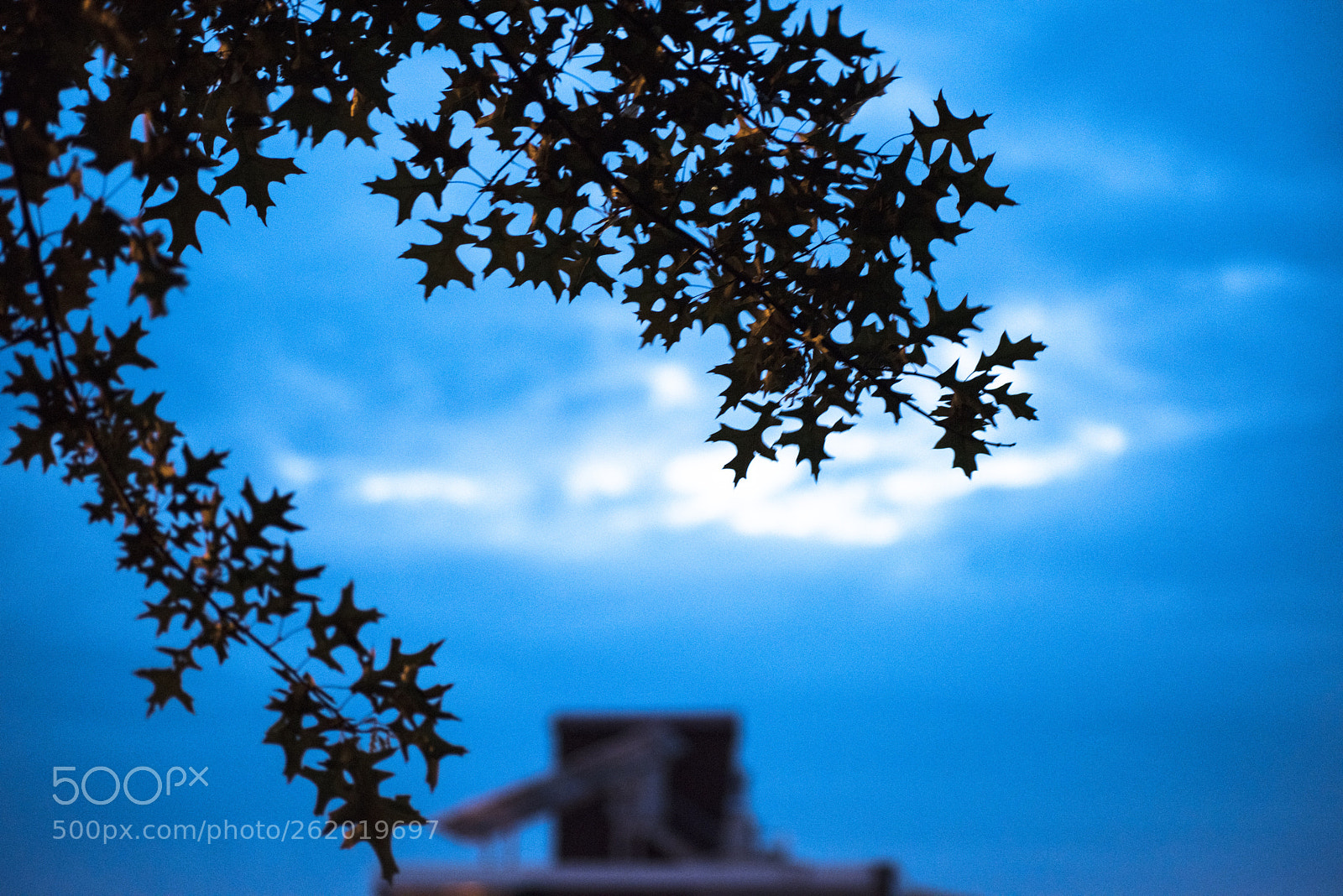 Nikon D810 sample photo. In a town   no.43 photography