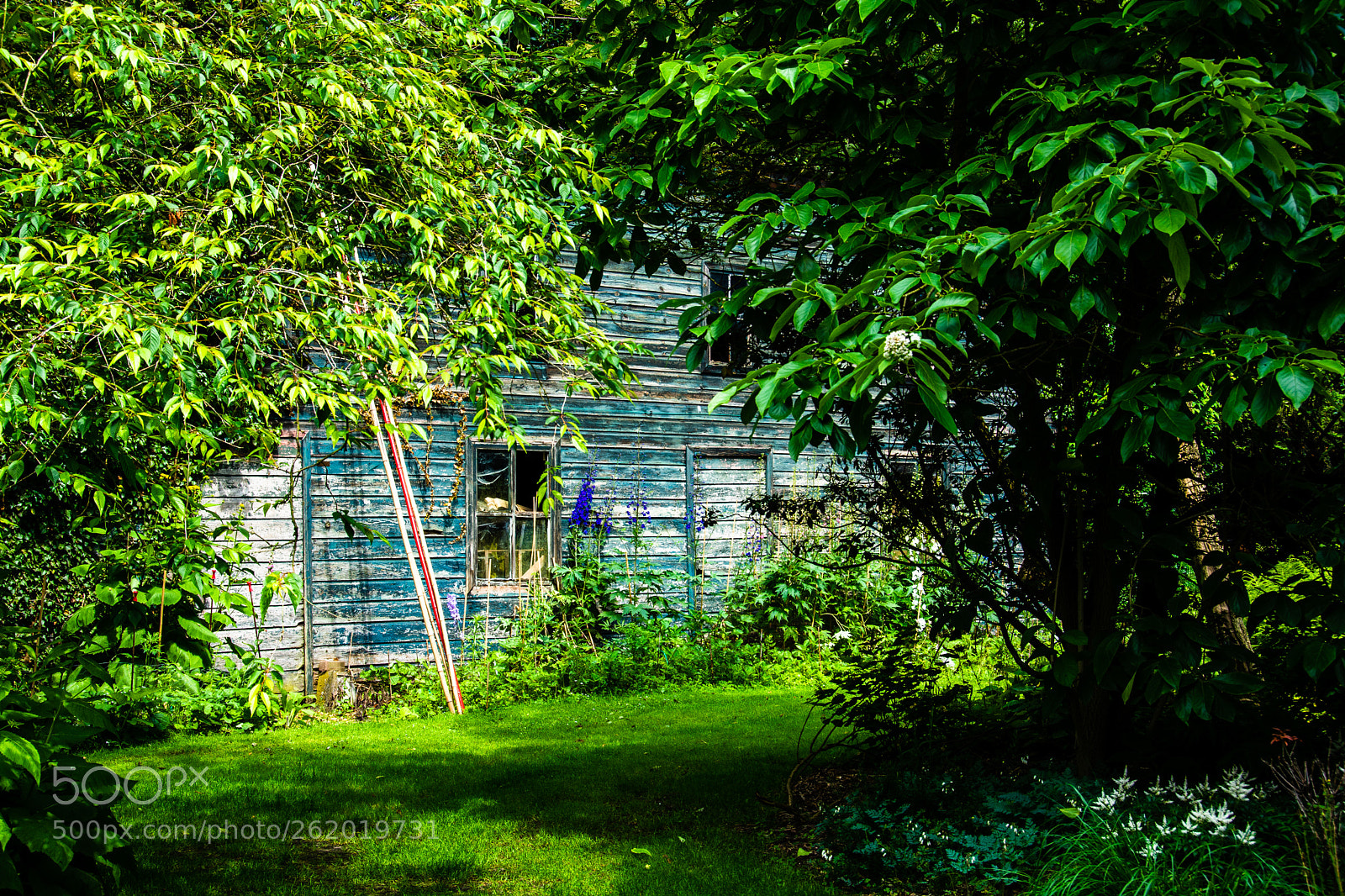 Nikon D7100 sample photo. Arboretum kalmthout photography