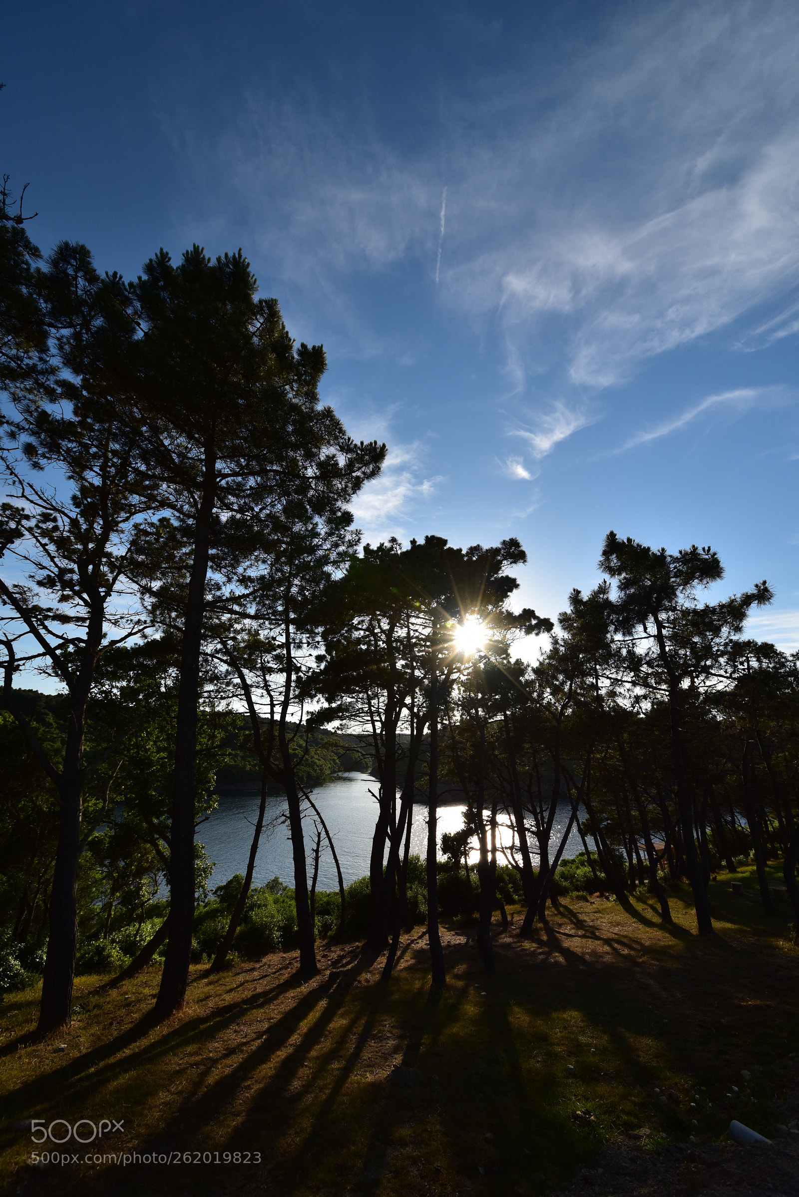 Nikon D750 sample photo. Cnr  photography