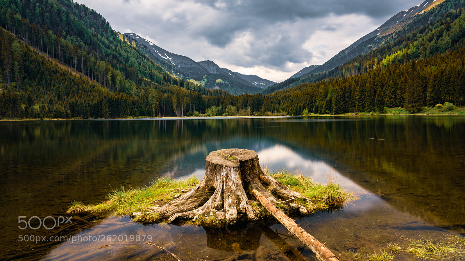 Sony a7R II sample photo. Tree stump in the photography