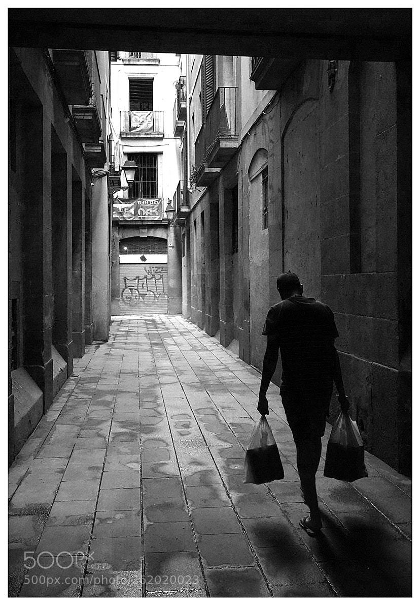 Sony a7 sample photo. Untitled photography