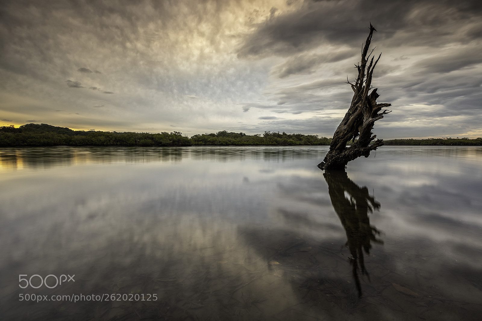 Canon EOS 5D Mark IV sample photo. Clouds and stump. photography