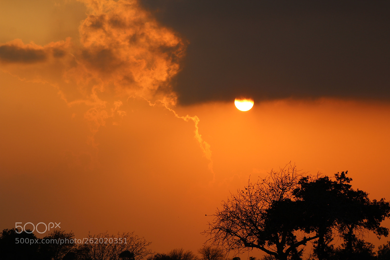 Canon EF 75-300mm f/4-5.6 USM sample photo. Quarters photography