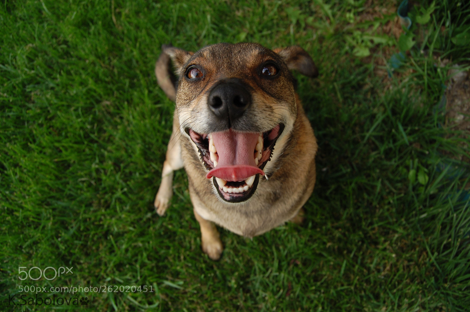 Nikon D40 sample photo. Smile photography