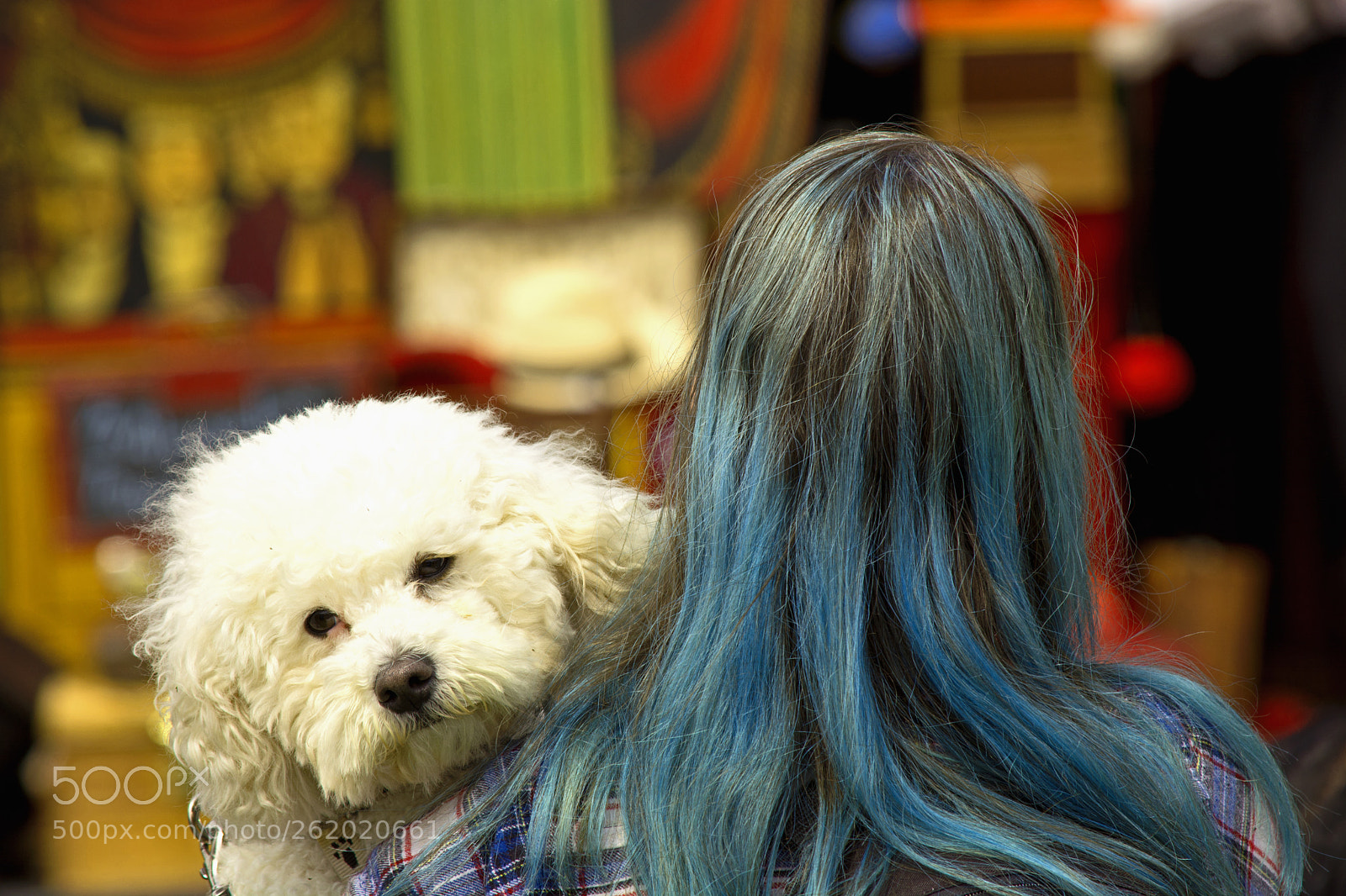 Nikon D5200 sample photo. Untitled photography