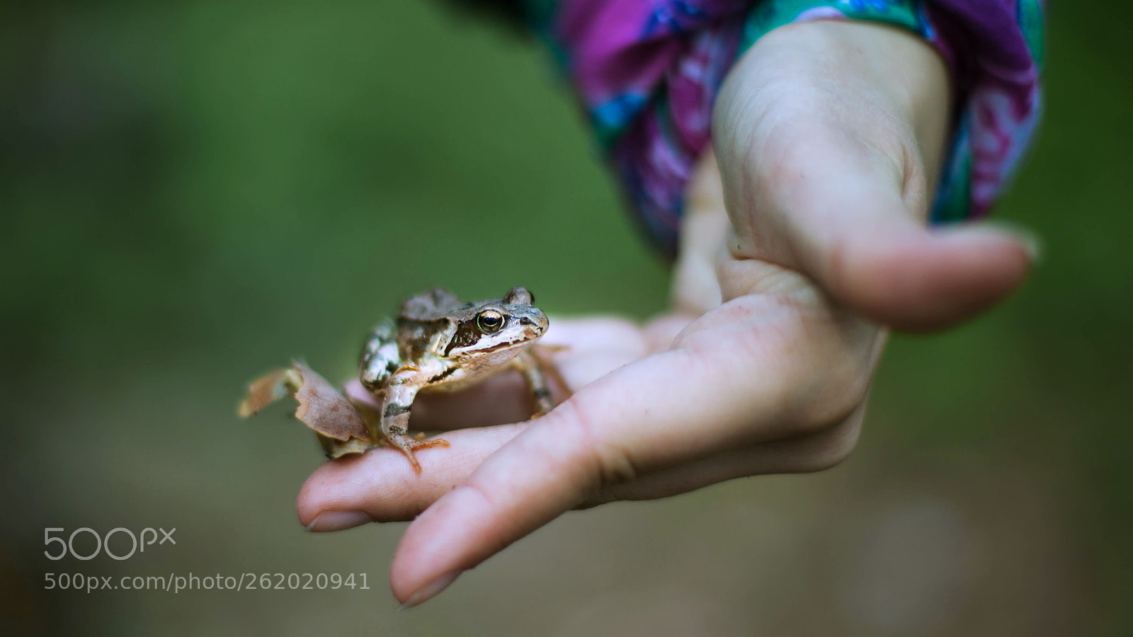 Canon EOS 5D Mark II sample photo. Our guest photography