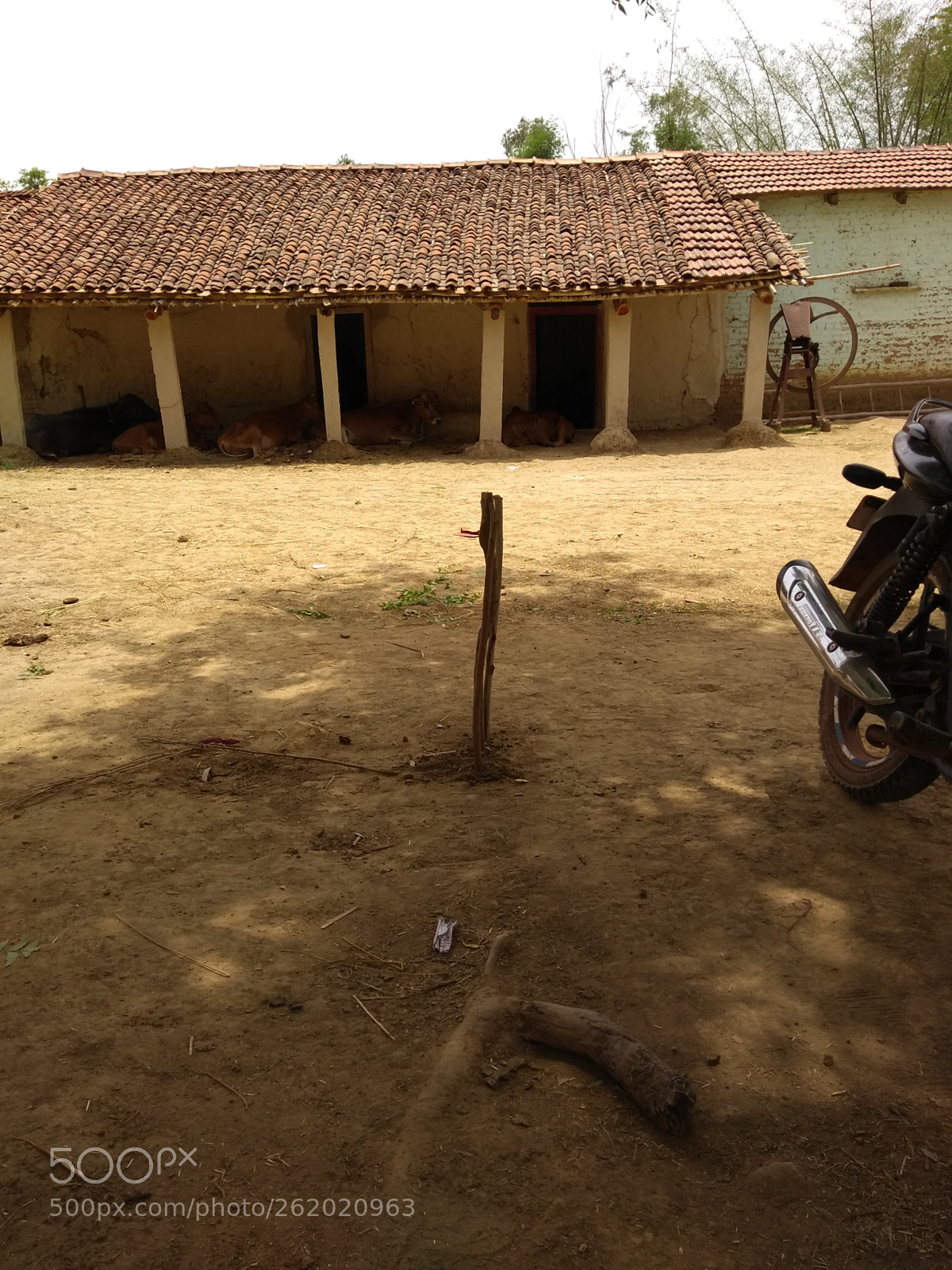 Motorola Moto G (5S) Plus sample photo. Untitled photography
