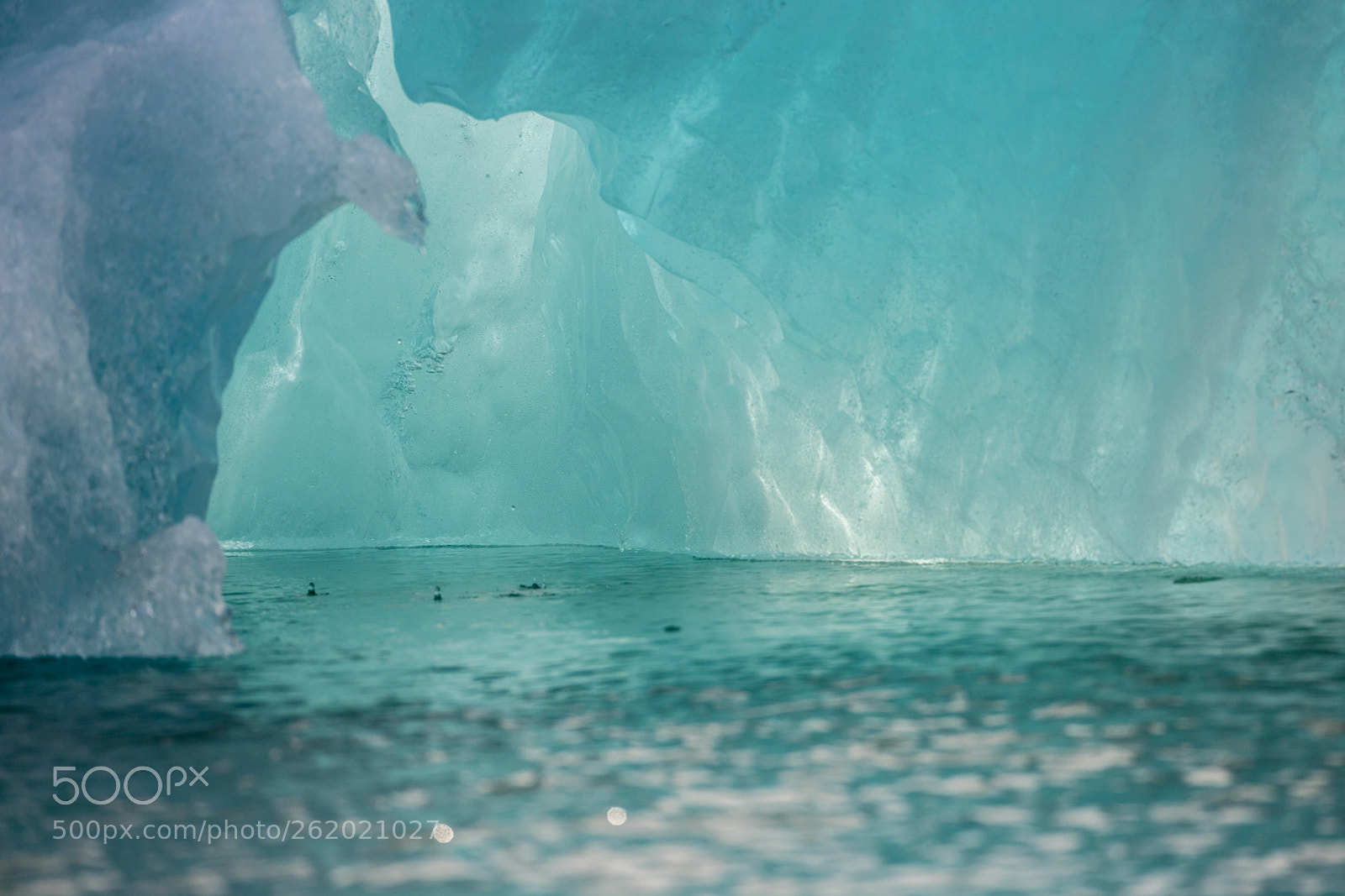Canon EOS-1D X sample photo. Iceberg photography