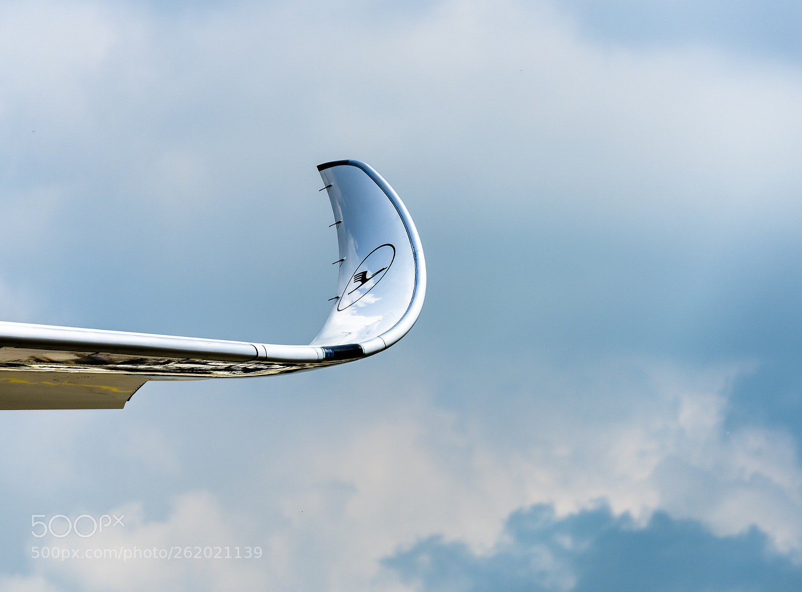 Nikon D810 sample photo. Winglet photography