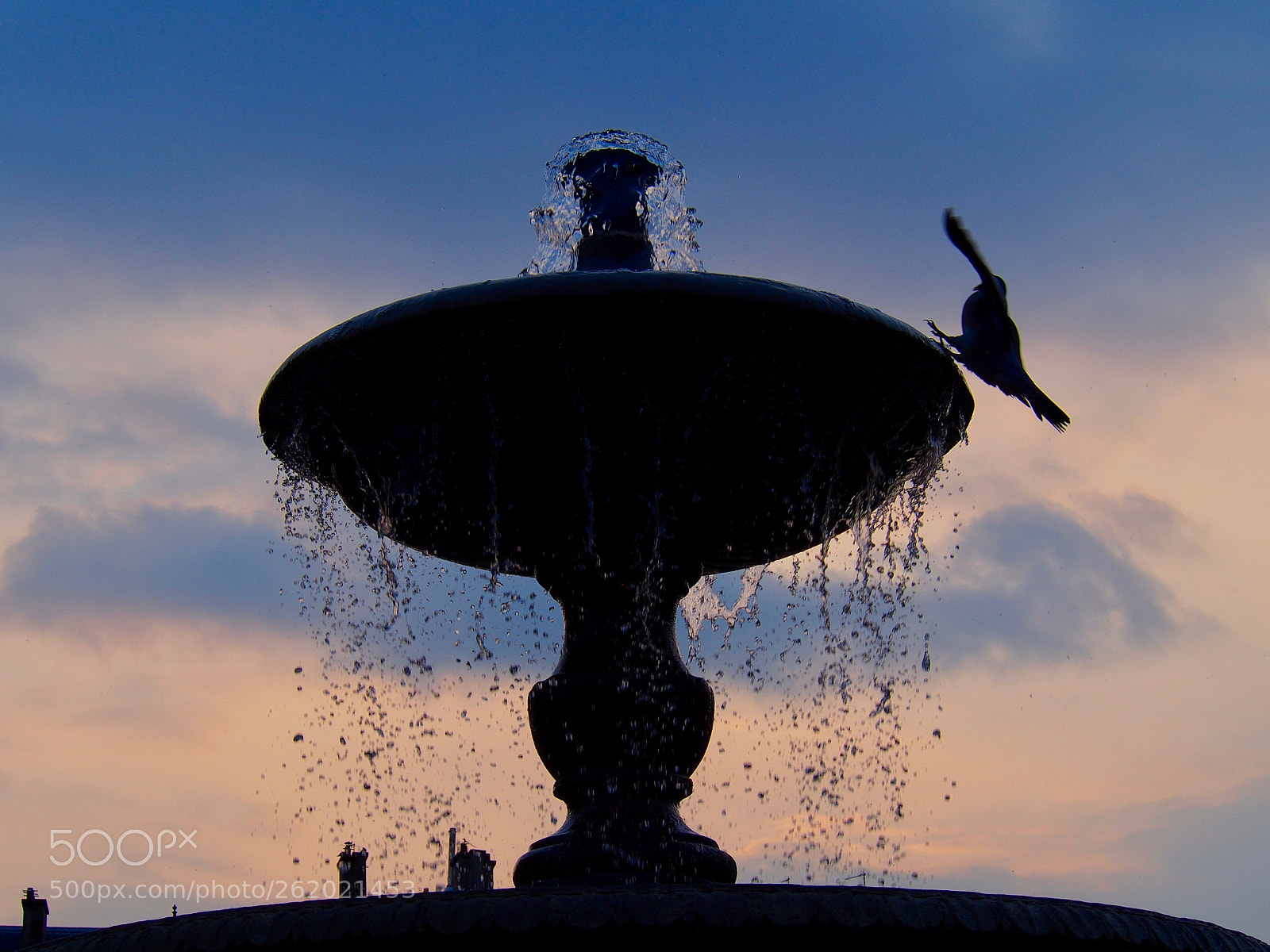 Olympus PEN E-PL6 sample photo. Poise photography