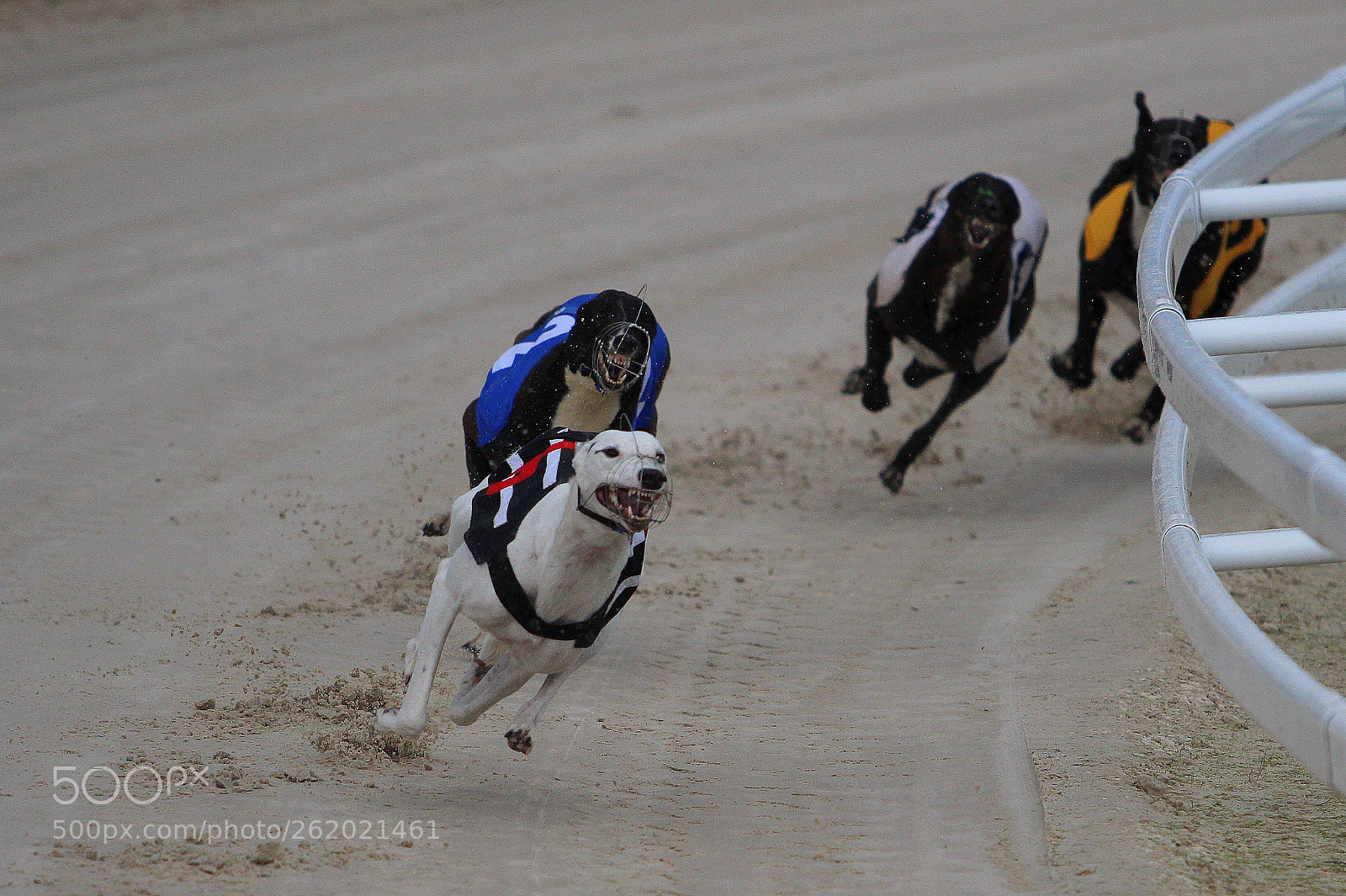 Canon EOS 600D (Rebel EOS T3i / EOS Kiss X5) sample photo. Race two photography