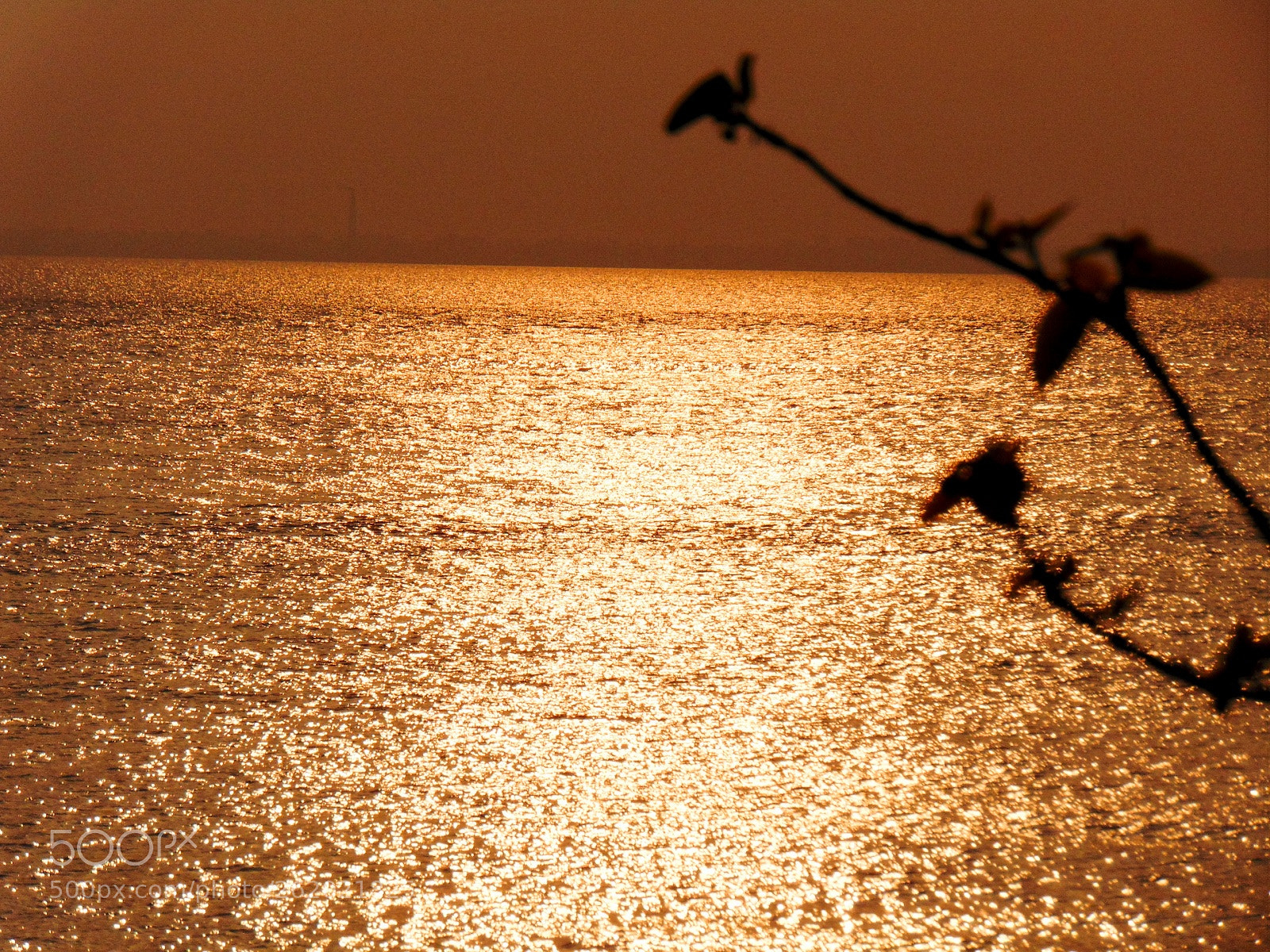 Sony Cyber-shot DSC-H300 sample photo. || sunset || photography
