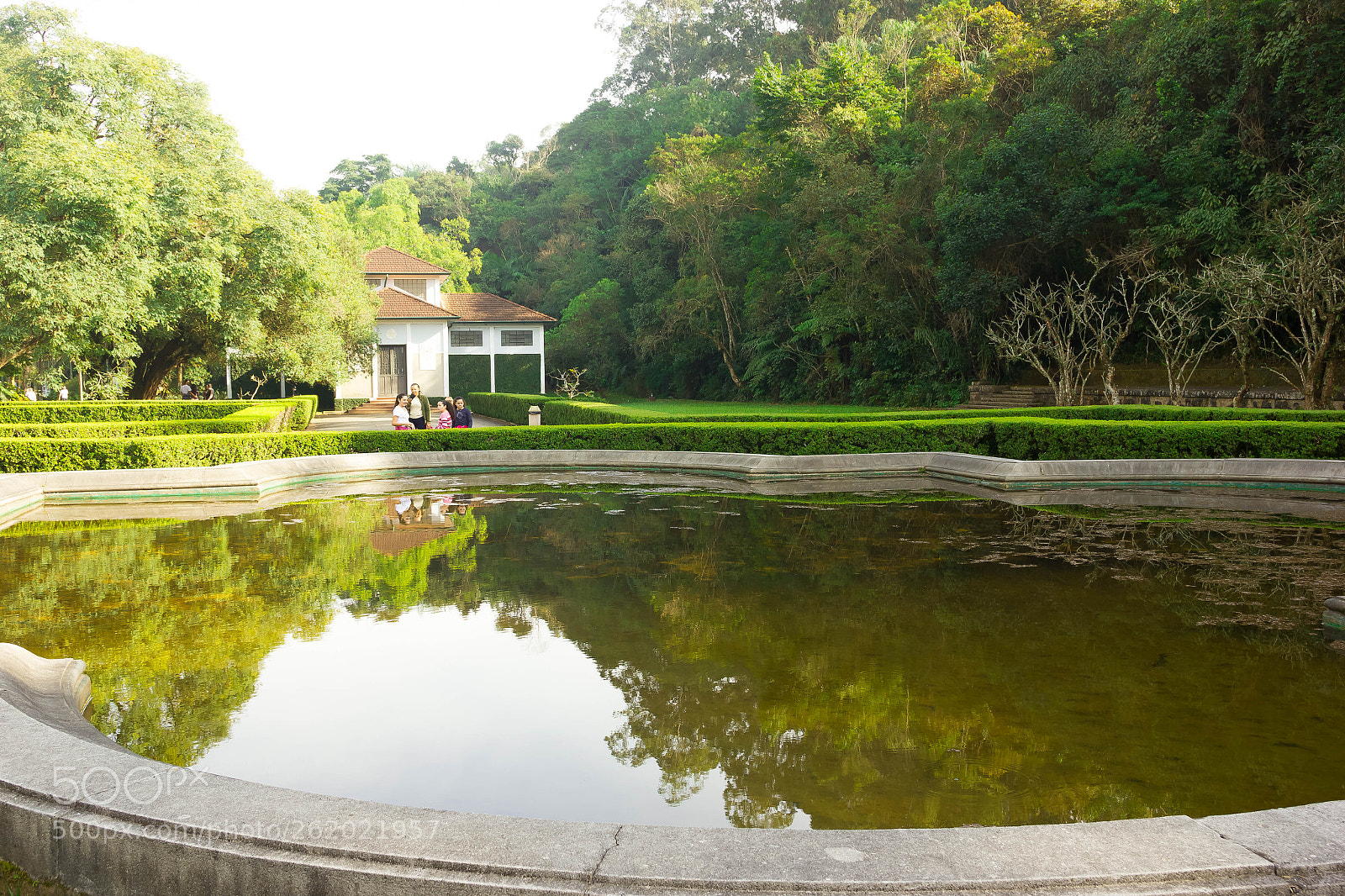 Canon EOS 550D (EOS Rebel T2i / EOS Kiss X4) sample photo. Botanical garden of brazil photography