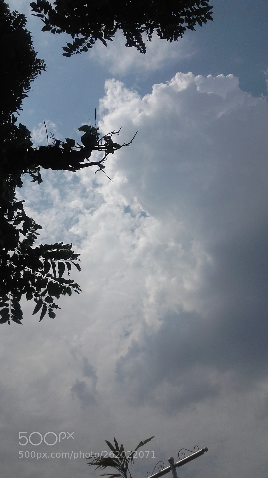 Samsung Galaxy Grand Prime sample photo. [] photography