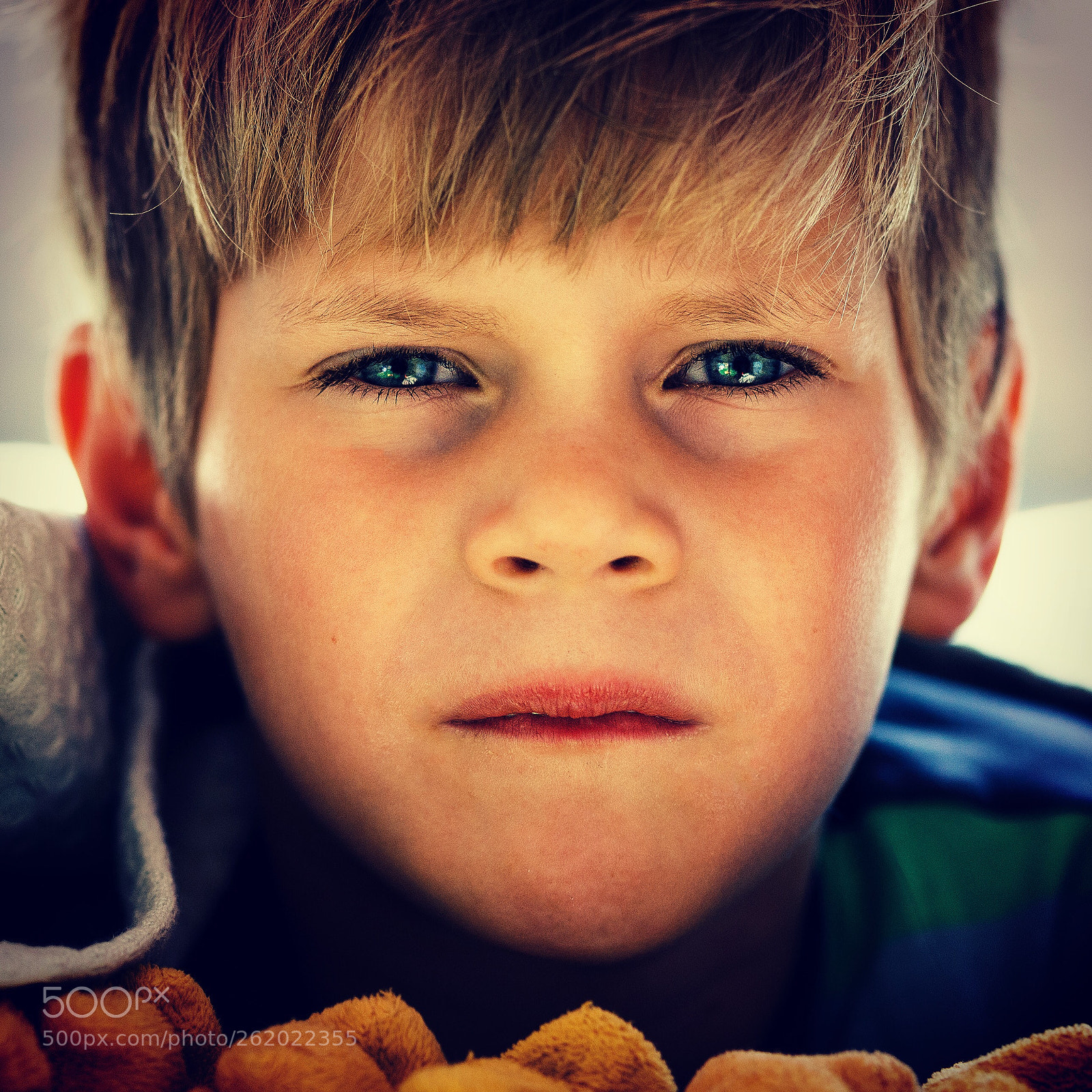Nikon D600 sample photo. Untitled photography