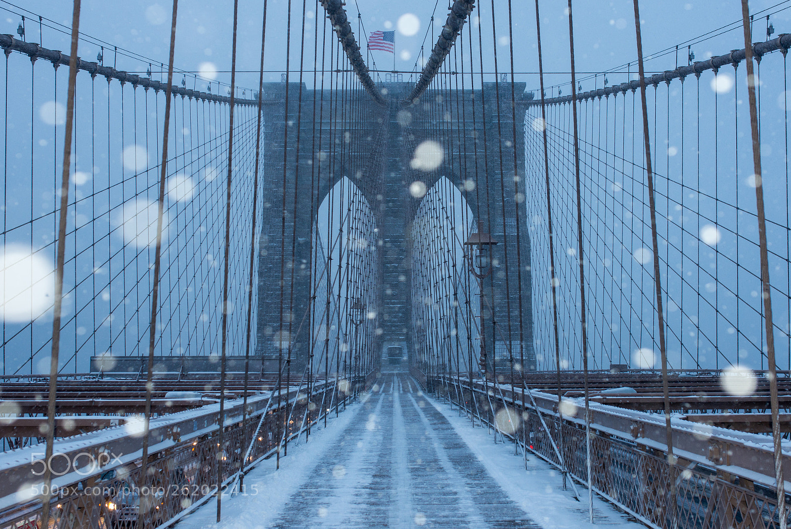 Nikon D600 sample photo. Brooklyn bridge in blizzard photography