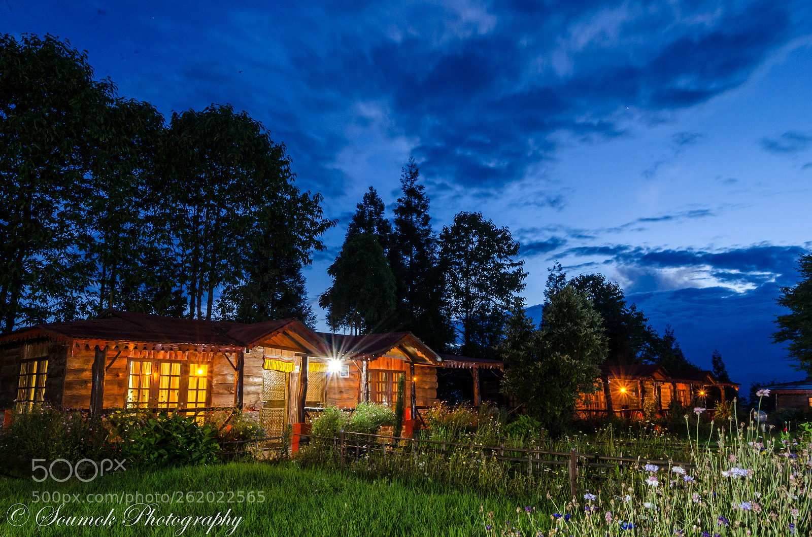 Nikon D5100 sample photo. Nature's beauty photography