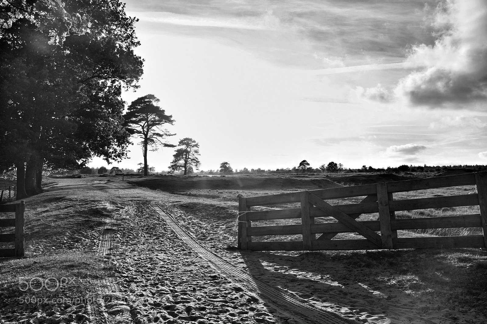 Fujifilm X-Pro1 sample photo. Drenthe the netherlands photography