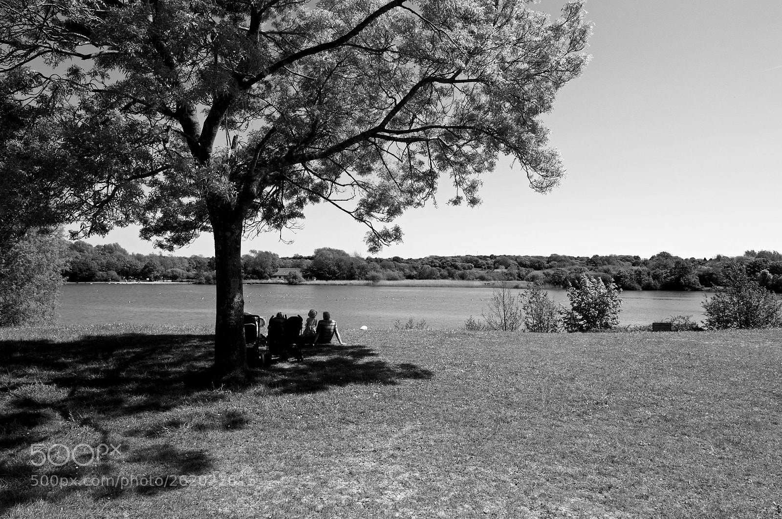 Nikon D2X sample photo. Enjoying the shade photography