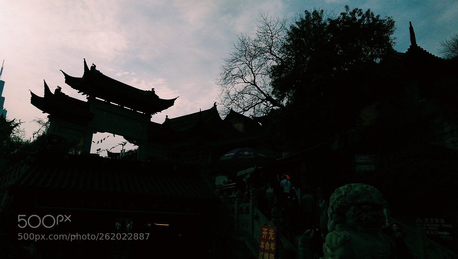 HTC M8T sample photo. Untitled photography
