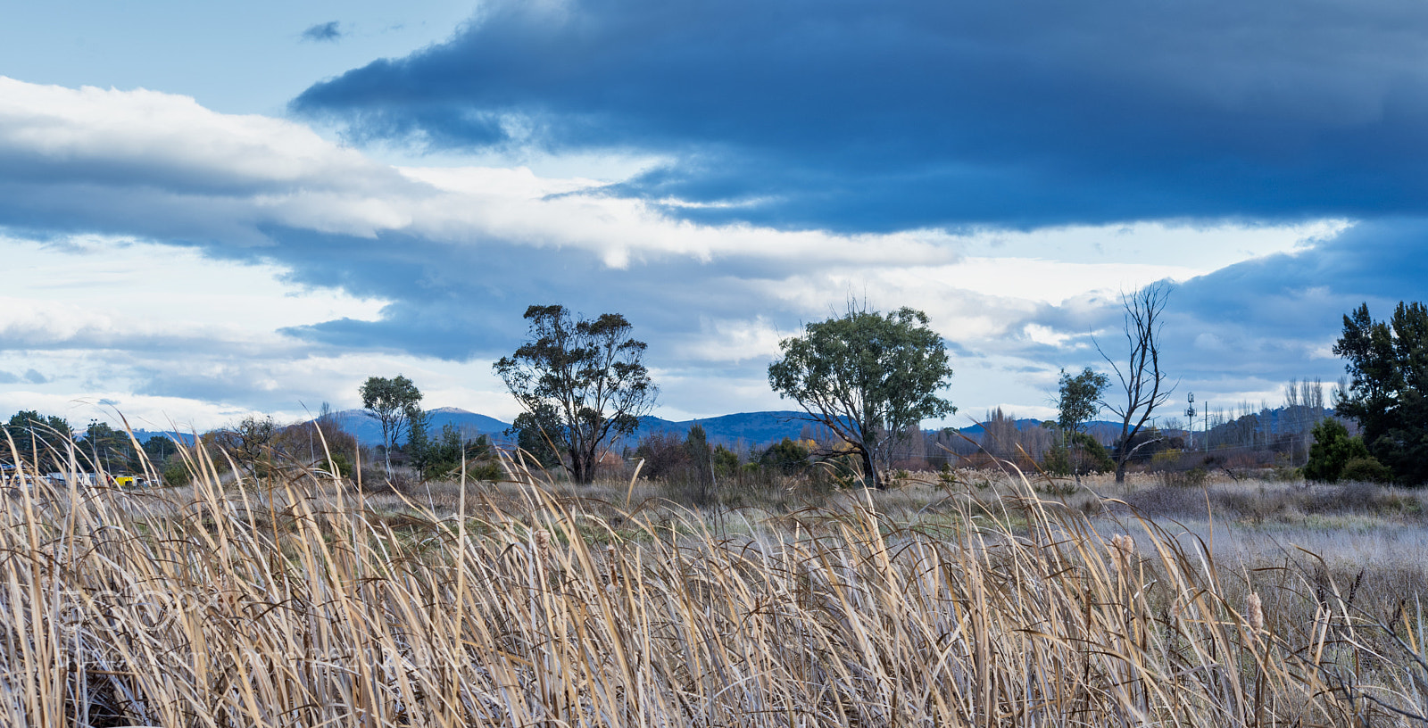 Nikon D750 sample photo. Jerrabomberra wetland reserve photography
