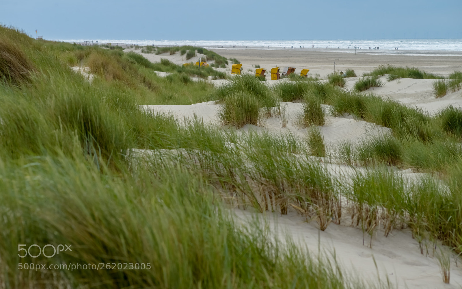 Nikon D800 sample photo. In the dunes of photography