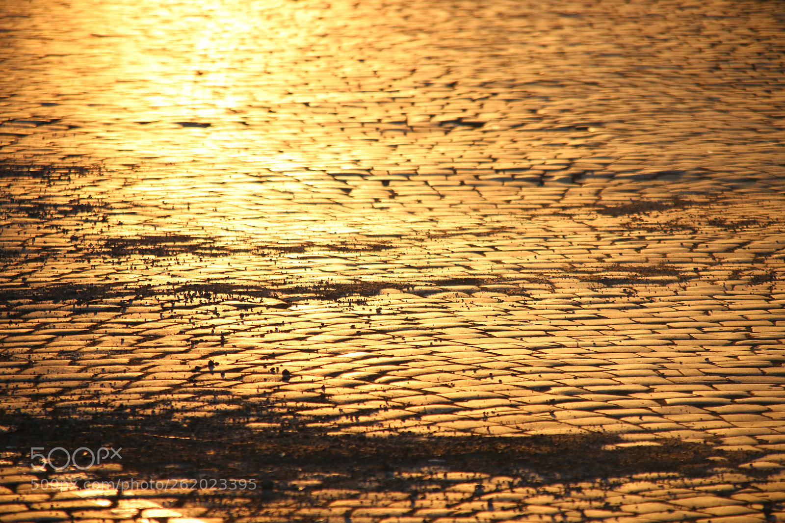 Canon EOS 70D sample photo. Cobbles at sunset photography