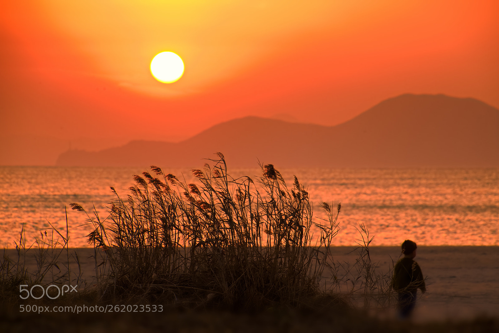 Nikon D5500 sample photo. Sunset and kid photography
