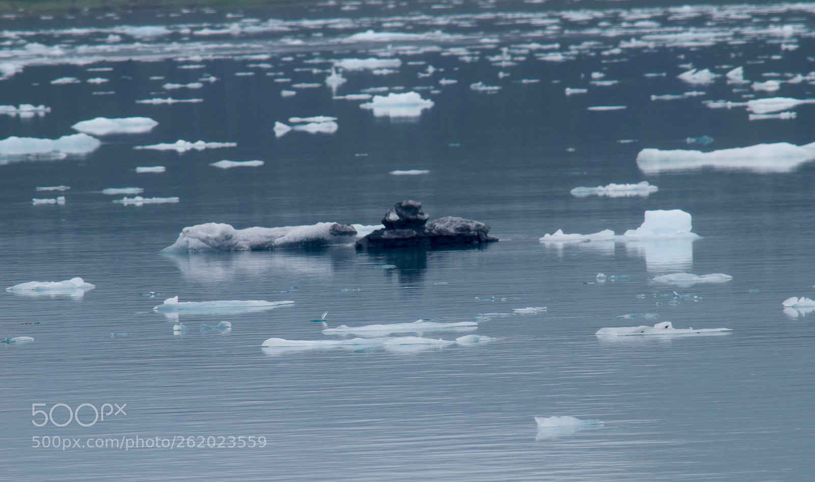 Nikon D5300 sample photo. Alaska glaciers photography