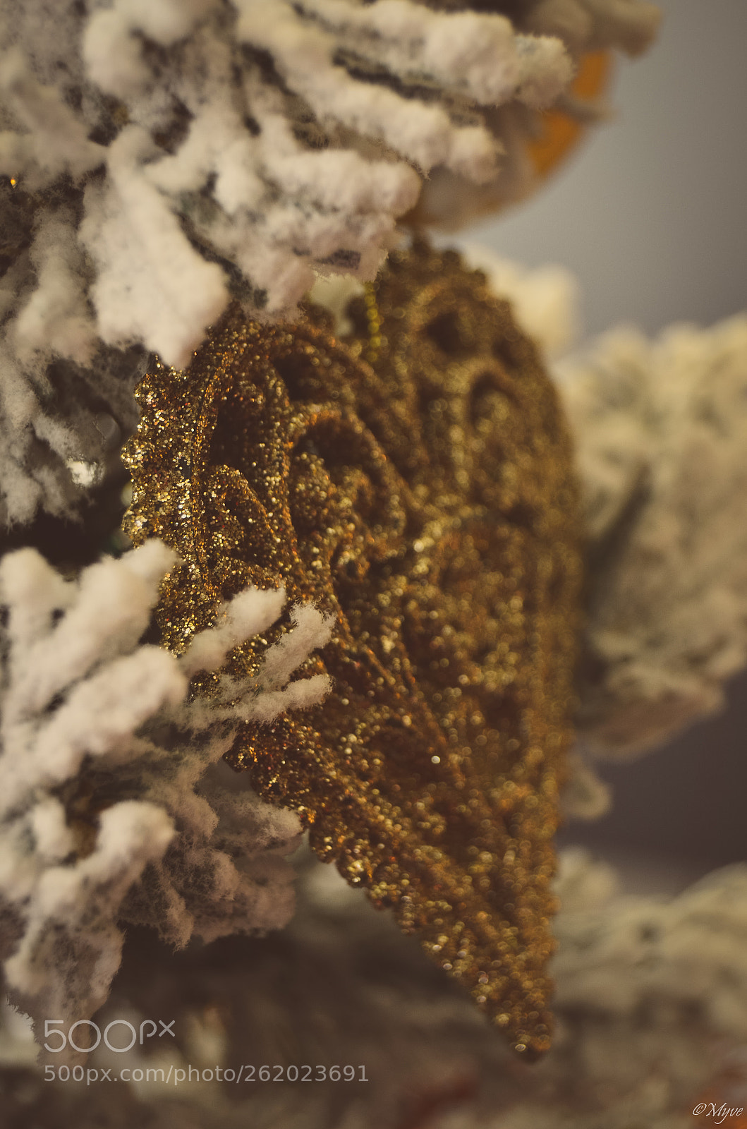 Nikon D5100 sample photo. |||||||| photography