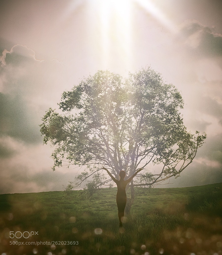 Canon EOS 5D sample photo. Dream .. photography