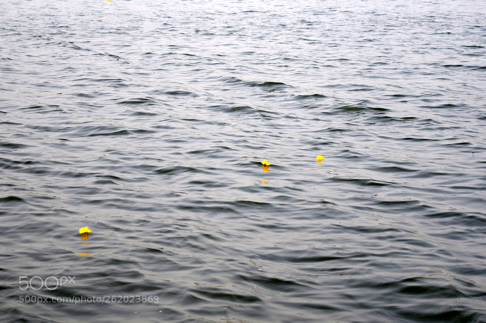 Nikon D3300 sample photo. Sangam photography