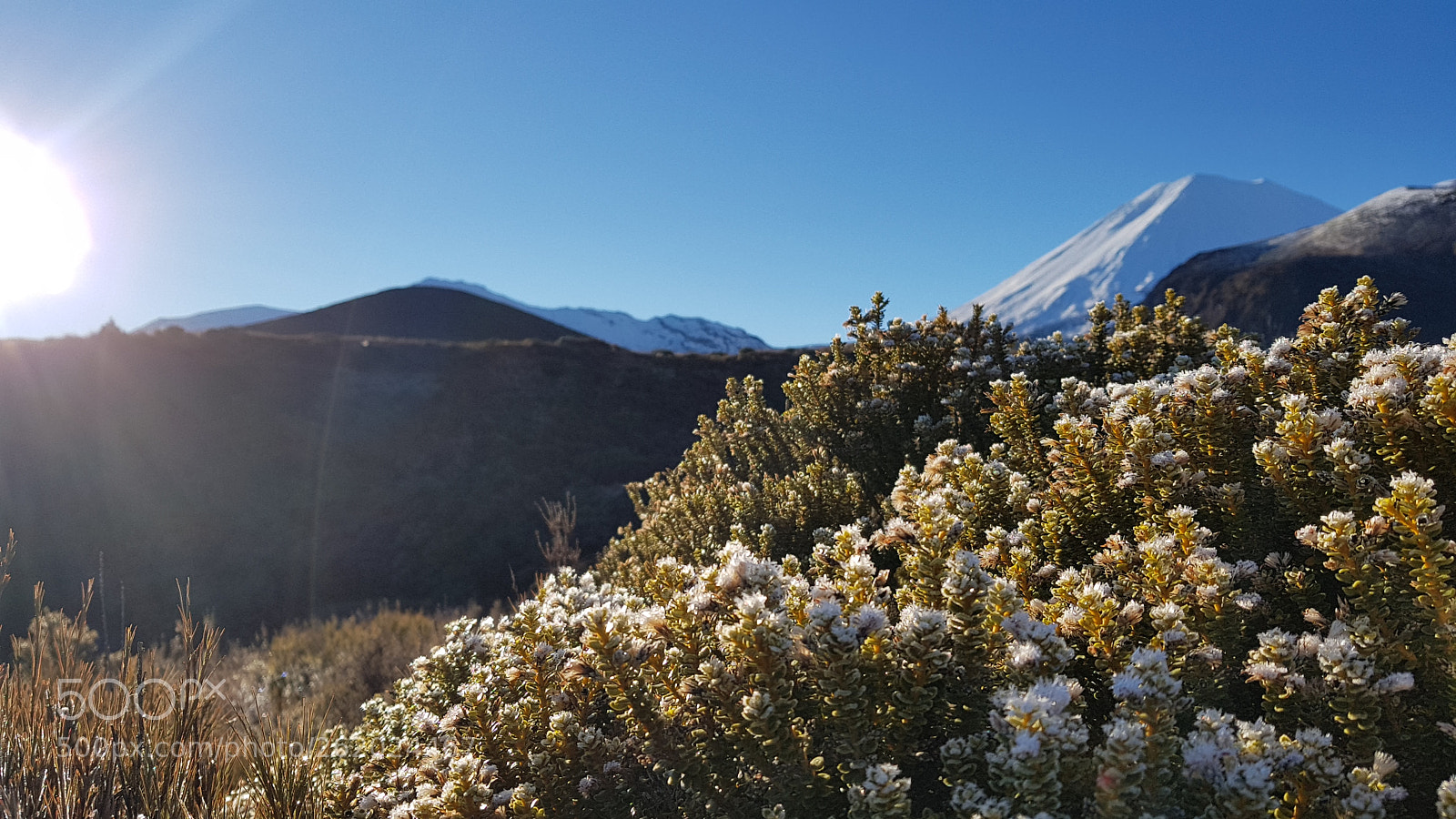 Samsung Galaxy S8+ sample photo. Tongariro alp nz photography