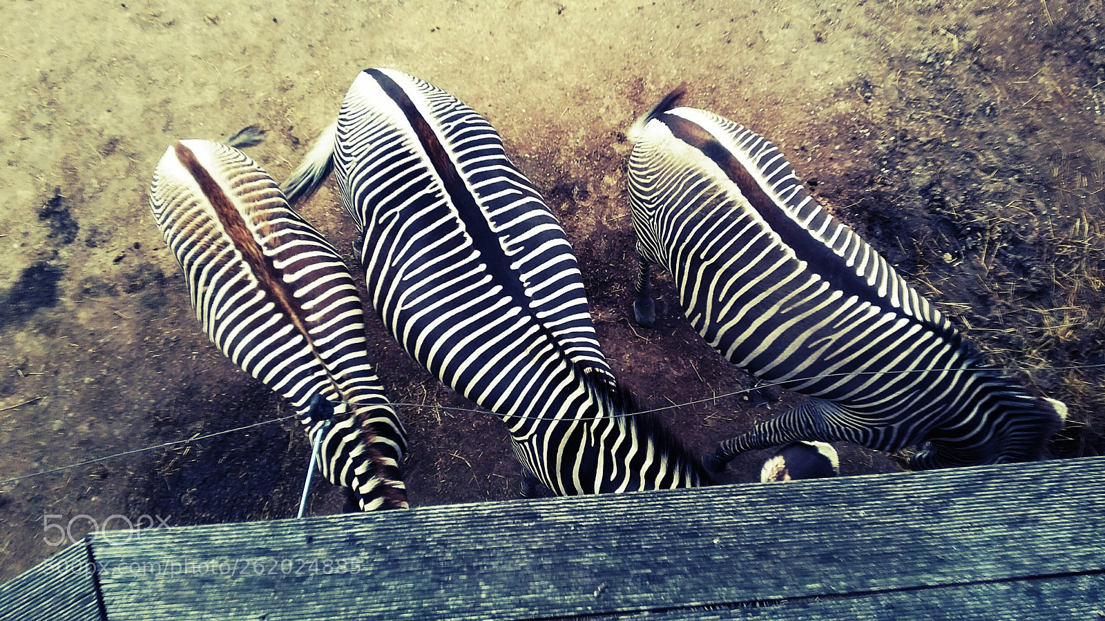 Samsung Galaxy S4 Mini sample photo. Lines photography