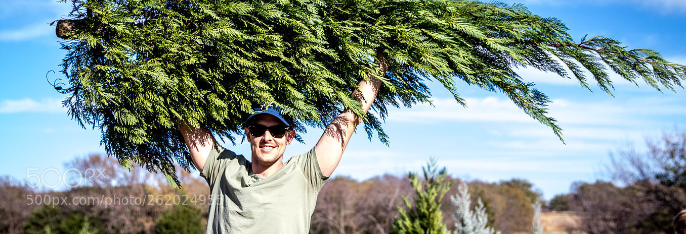 Canon EOS 7D Mark II sample photo. Local christmas tree farm photography