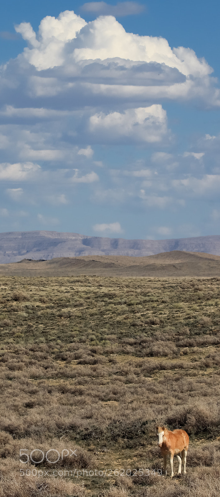 Canon EOS 70D sample photo. Photo of the day photography