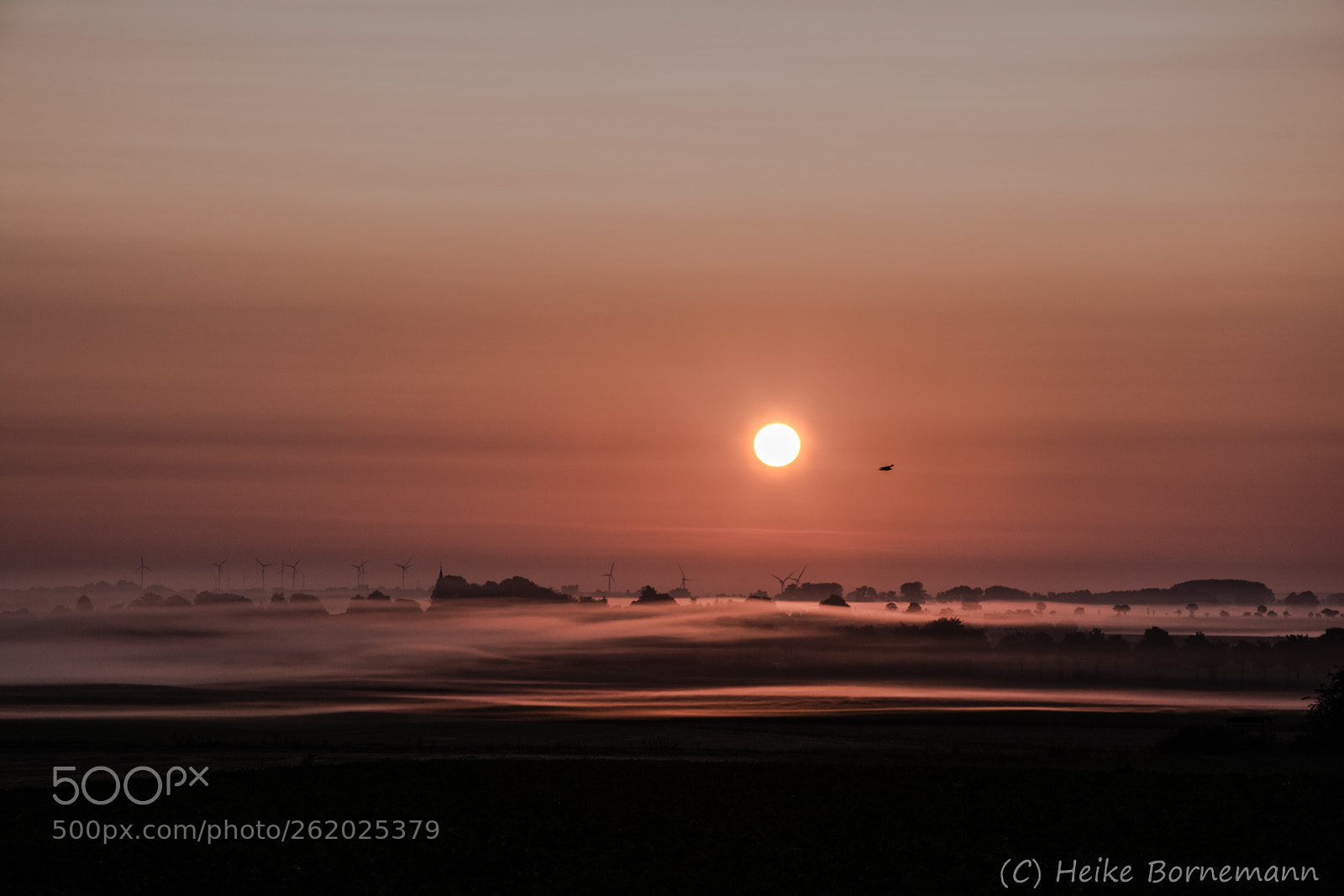 Nikon D5200 sample photo. Sunrise photography