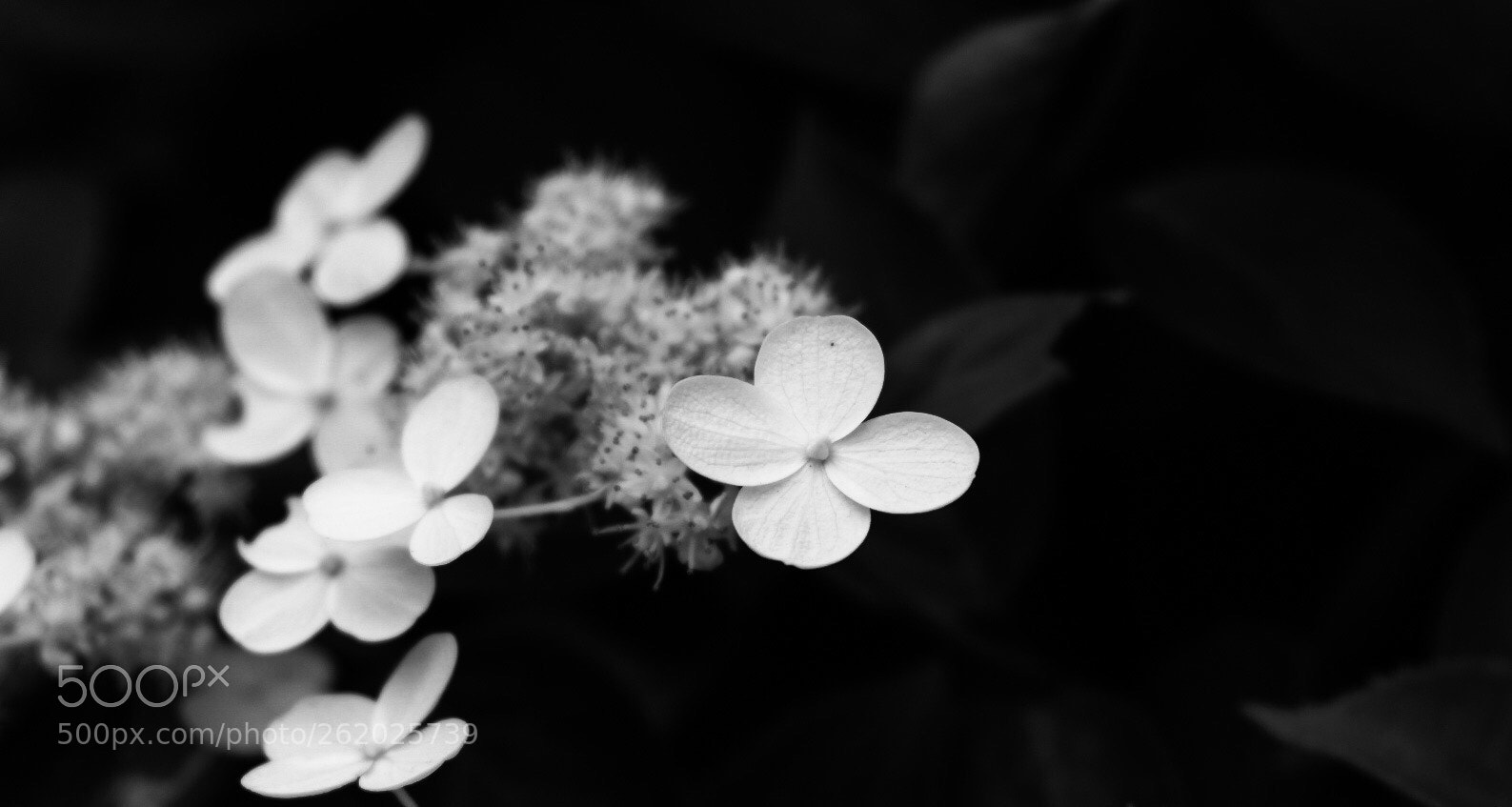 Fujifilm X-T20 sample photo. Untitled photography