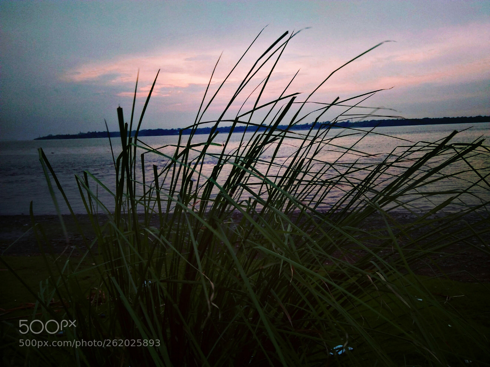 OPPO A37fw-International sample photo. Aweaomeness photography