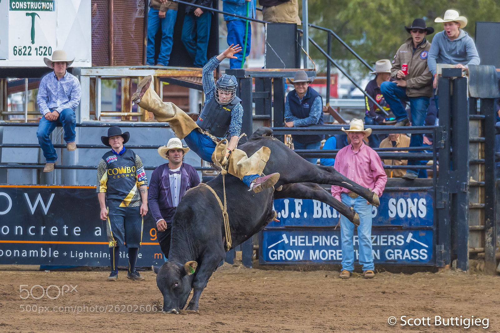 Canon EOS-1D X Mark II sample photo. Raging bull  photography