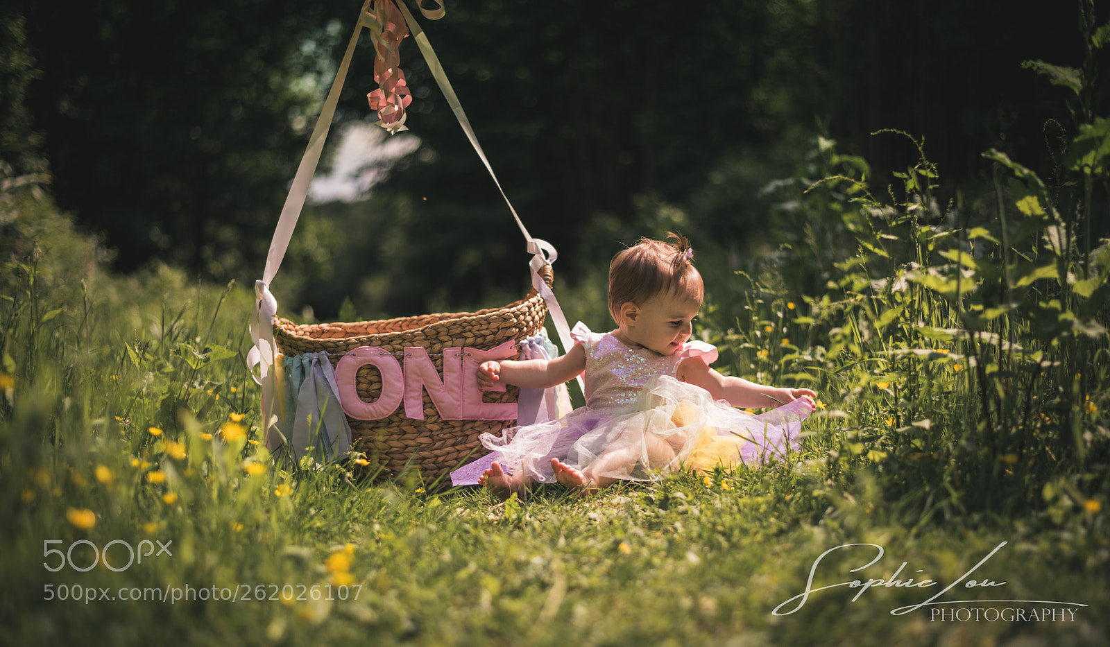 Nikon D750 sample photo. Flower hunt photography