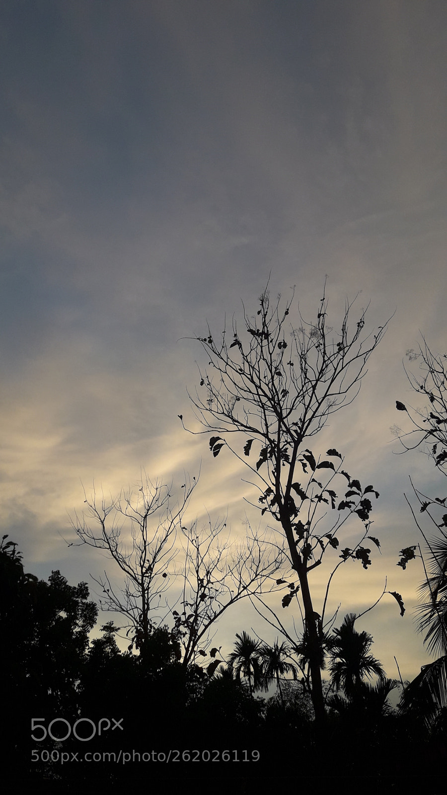 Samsung Galaxy J7 Neo sample photo. Twilight photography