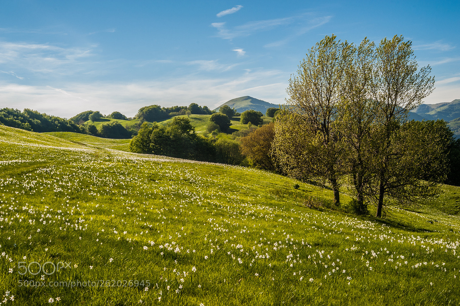 Nikon D700 sample photo. Pian della cavalla photography
