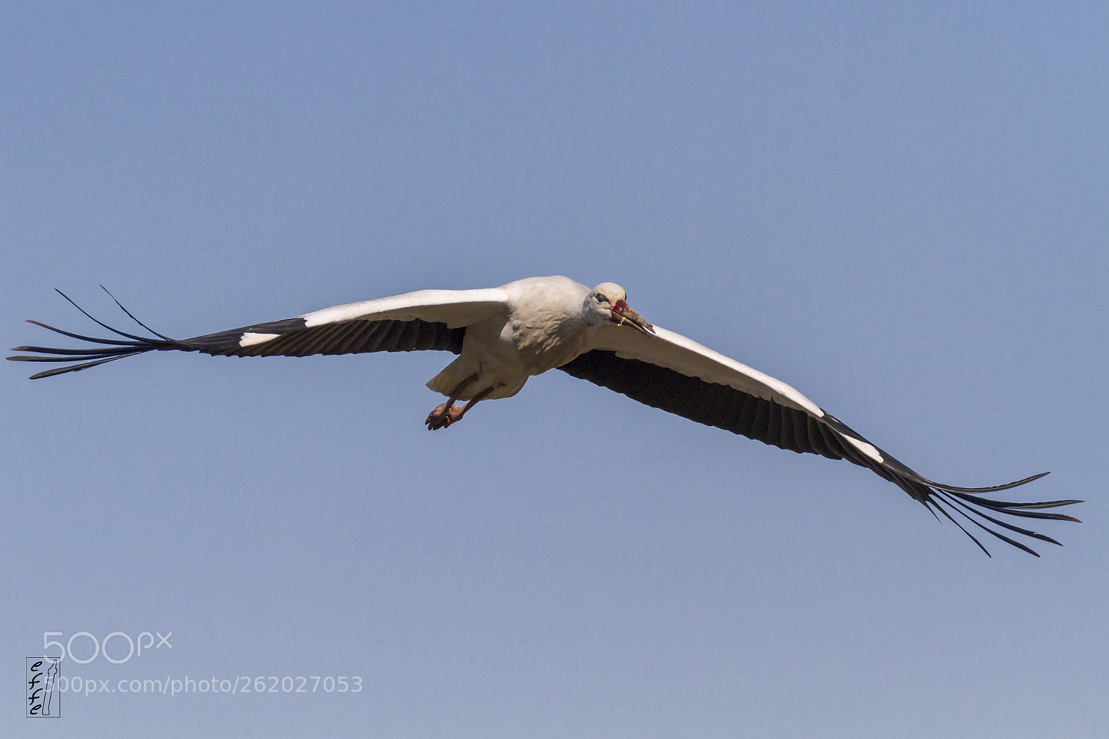 Canon EOS 7D sample photo. In the sky photography