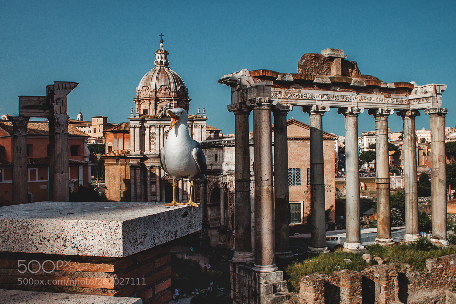 Canon EOS 500D (EOS Rebel T1i / EOS Kiss X3) sample photo. The guardian of rome photography