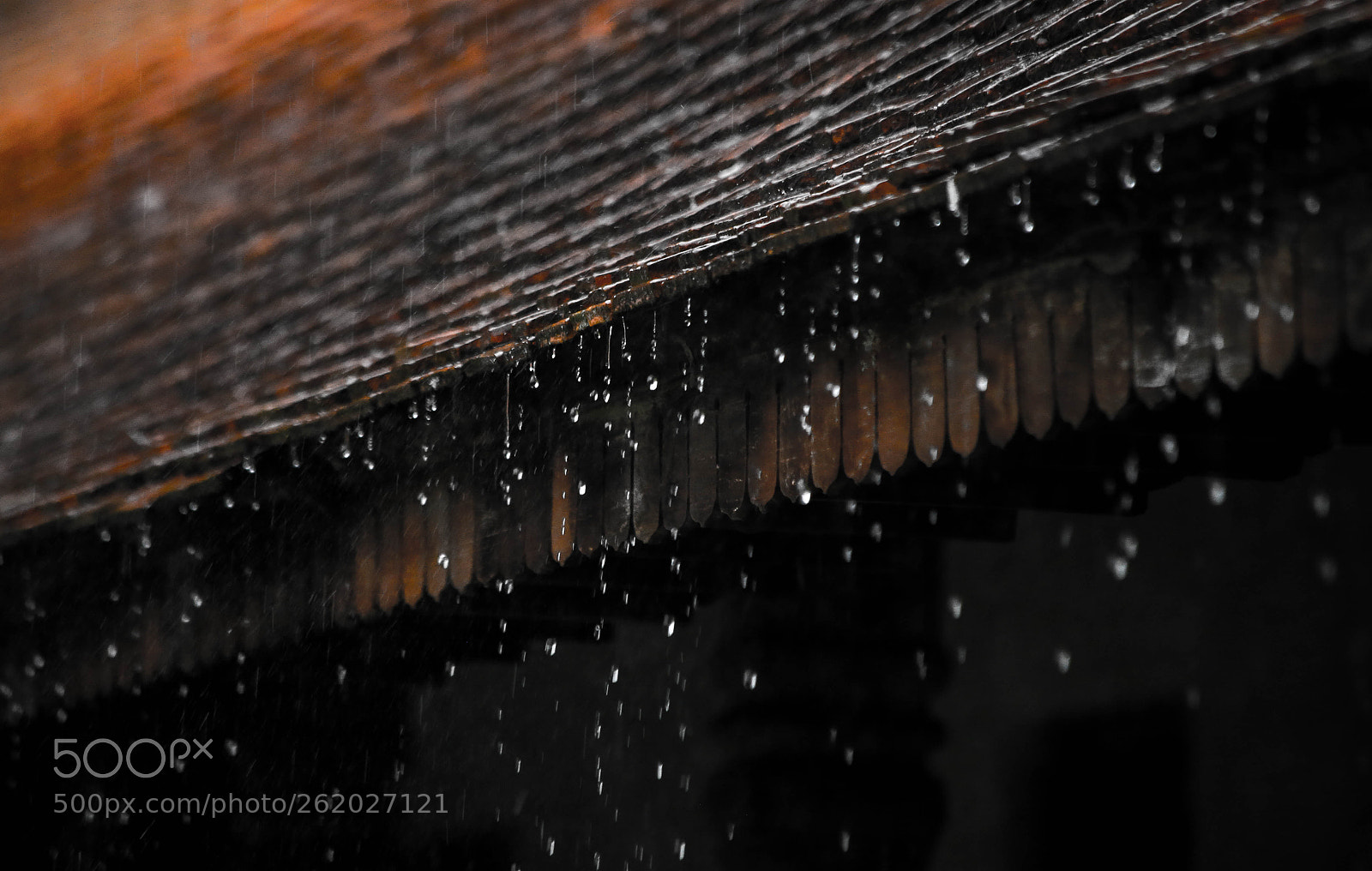 Canon EOS 6D sample photo. Droplets in the rain. photography