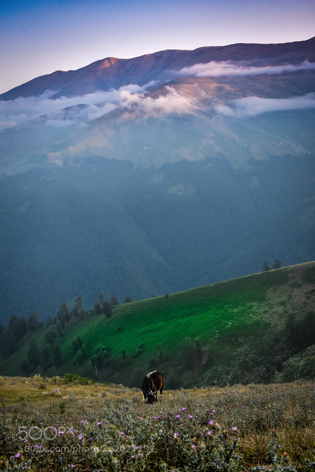 Nikon D5500 sample photo. Mountain photography