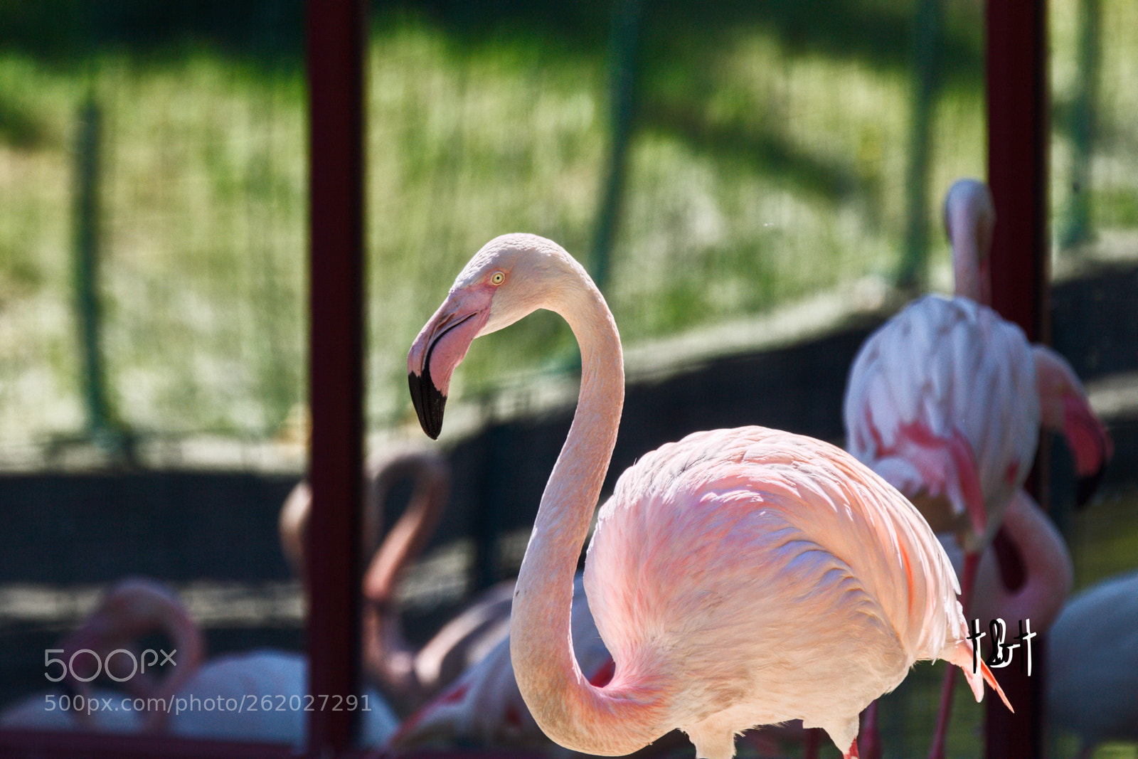 Canon EOS 7D sample photo. Untitled photography